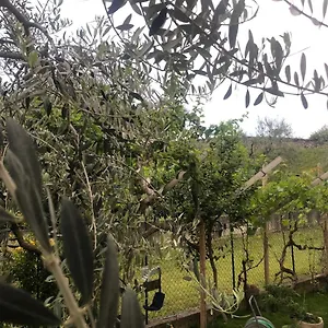  Apartment Bardolino,lago Di Garda, Appartamento,vacanze